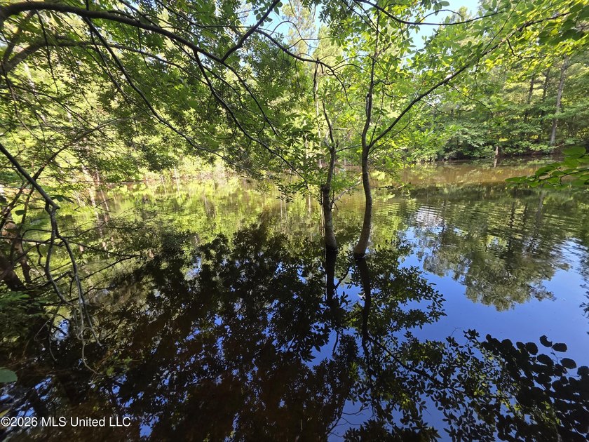 73.6+/- Acres on Summers Lane | Brookhaven, Mississippi Welcome - photo 7