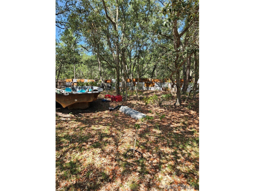 Enjoy the Privacy of This Completely Fenced 1.64 Acre Parcel - photo 12