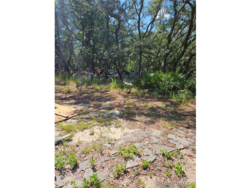 Enjoy the Privacy of This Completely Fenced 1.64 Acre Parcel - photo 14