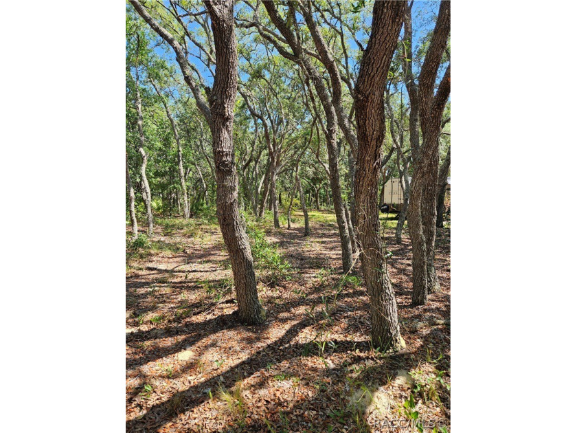 Enjoy the Privacy of This Completely Fenced 1.64 Acre Parcel - photo 16