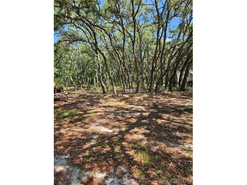 Enjoy the Privacy of This Completely Fenced 1.64 Acre Parcel - photo 17