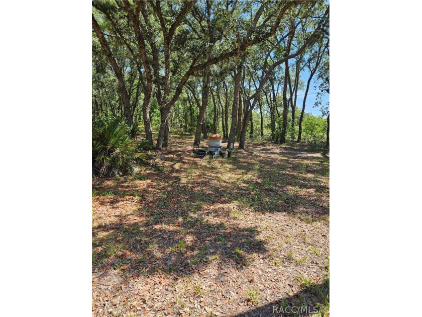 Enjoy the Privacy of This Completely Fenced 1.64 Acre Parcel - photo 19
