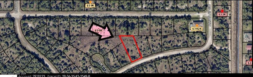 Oversized lot for your dream oversized home .don't miss out - photo 4