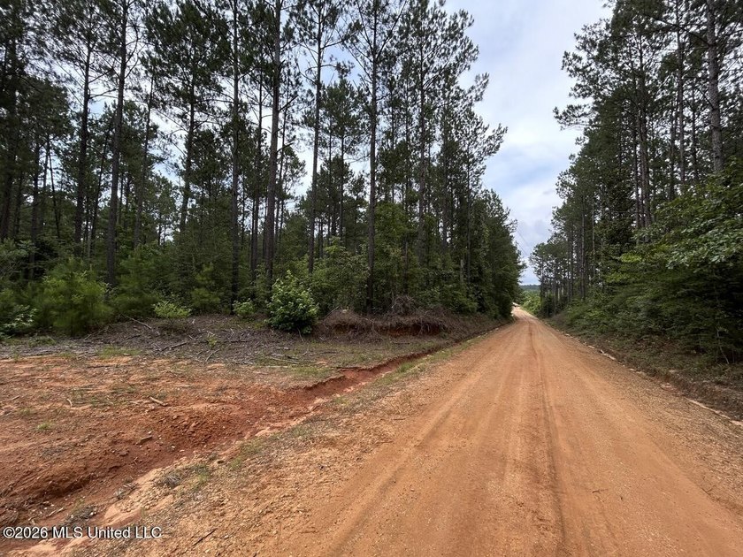 If you've been searching for a manageable hunting property with - photo 2