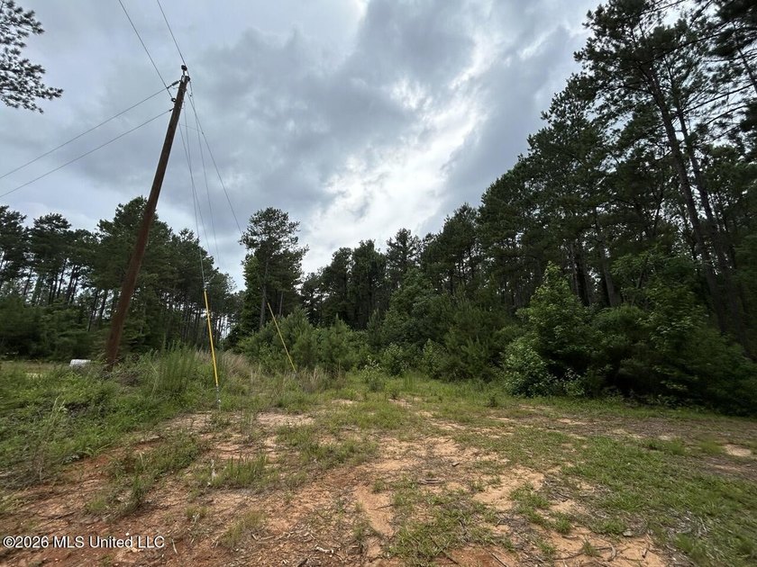 If you've been searching for a manageable hunting property with - photo 3