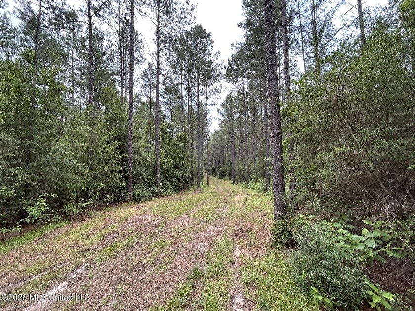 If you've been searching for a manageable hunting property with - photo 4