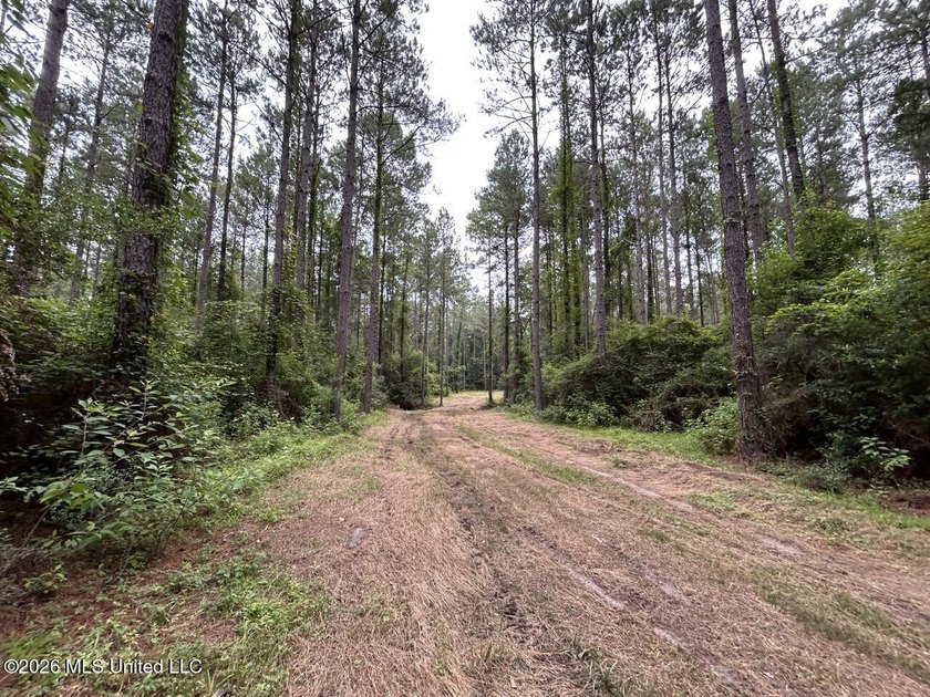 If you've been searching for a manageable hunting property with - photo 5