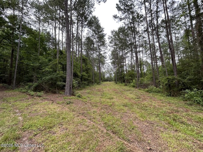 If you've been searching for a manageable hunting property with - photo 6