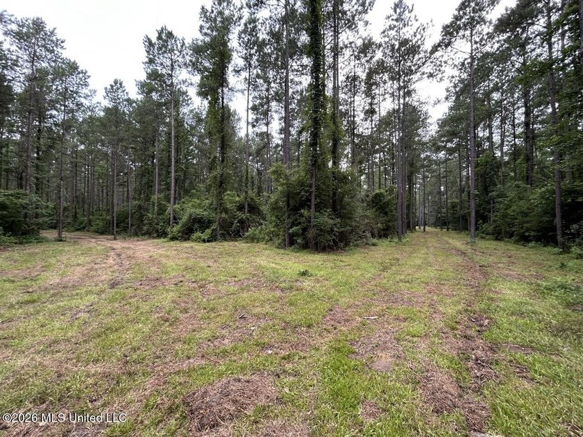 If you've been searching for a manageable hunting property with - photo 7