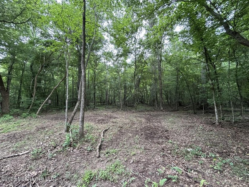 If you've been searching for a manageable hunting property with - photo 8