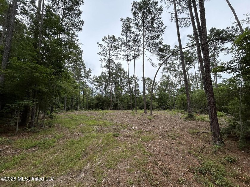 If you've been searching for a manageable hunting property with - photo 10