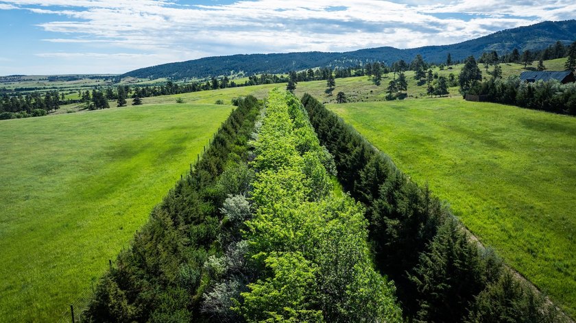Bear Ridge Compound is a 120-acre turnkey property on Bear Ridge - photo 13