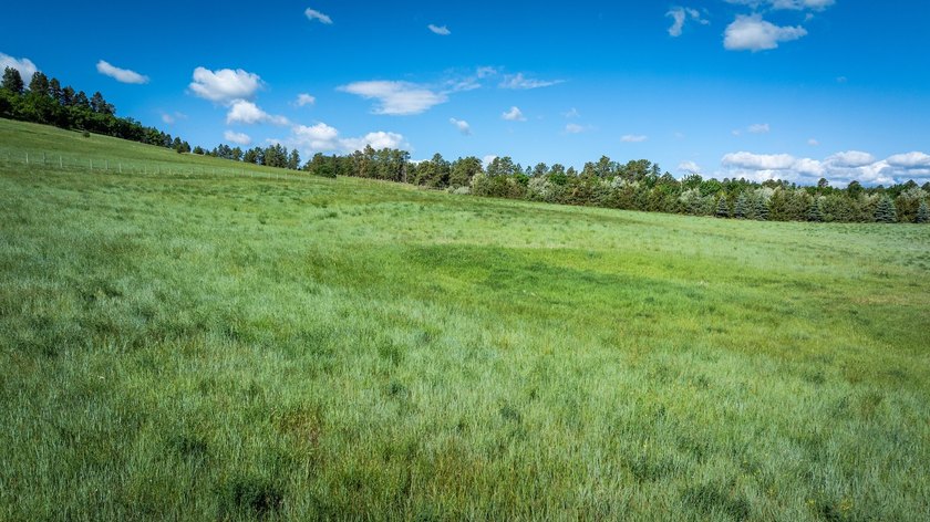 Bear Ridge Compound is a 120-acre turnkey property on Bear Ridge - photo 27