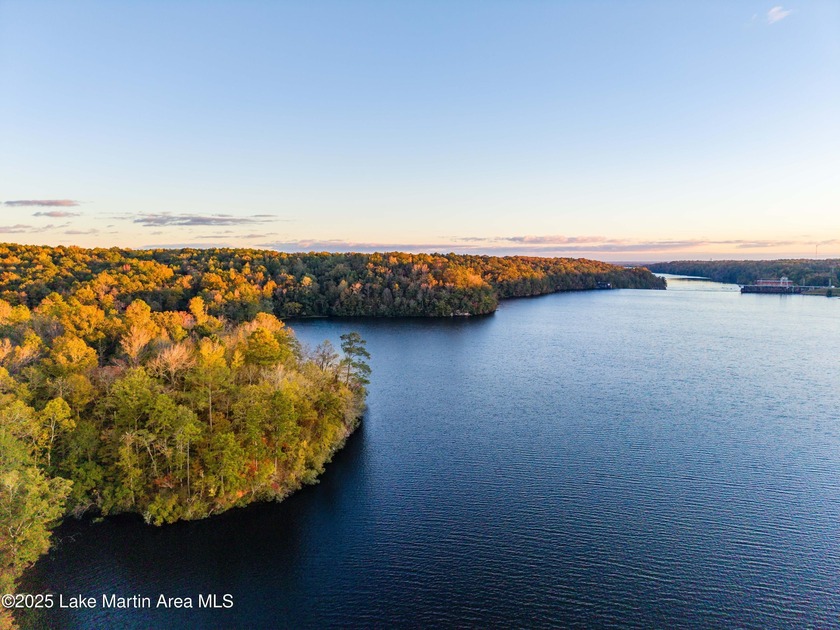 Welcome to Yates Lake! With 21 +/- acres and 2,000 +/- of - photo 3