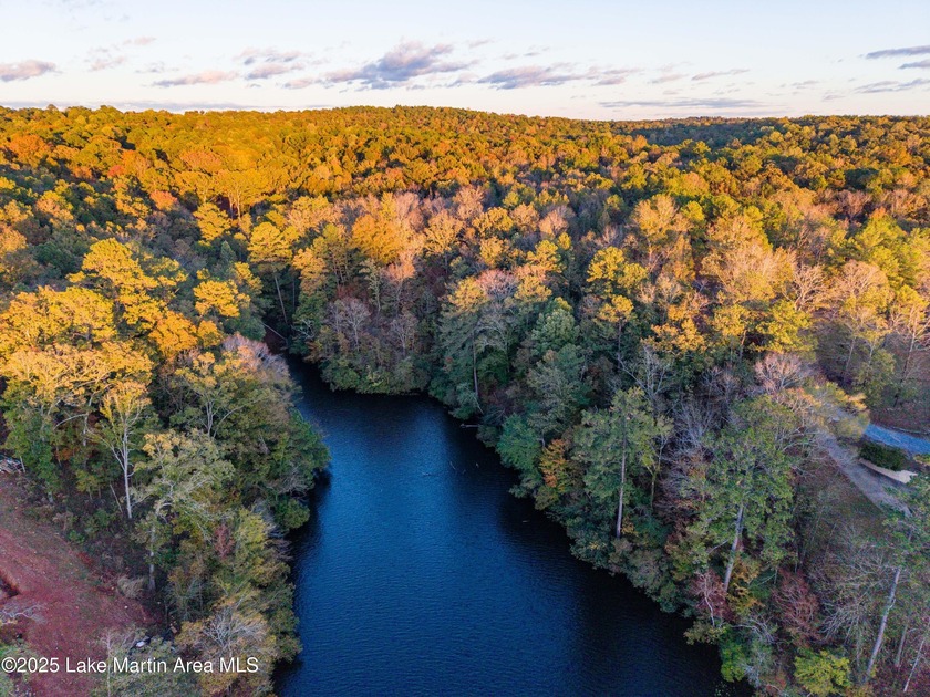 Welcome to Yates Lake! With 21 +/- acres and 2,000 +/- of - photo 4