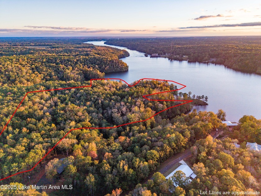 Welcome to Yates Lake! With 21 +/- acres and 2,000 +/- of - photo 5