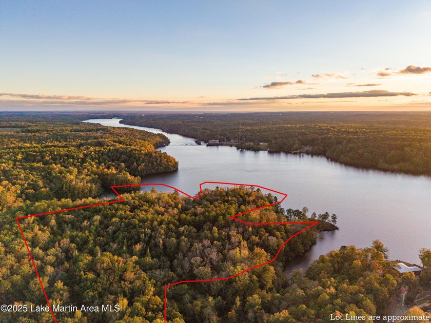 Welcome to Yates Lake! With 21 +/- acres and 2,000 +/- of - photo 6