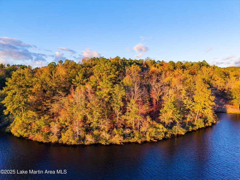 Welcome to Yates Lake! With 21 +/- acres and 2,000 +/- of - photo 8