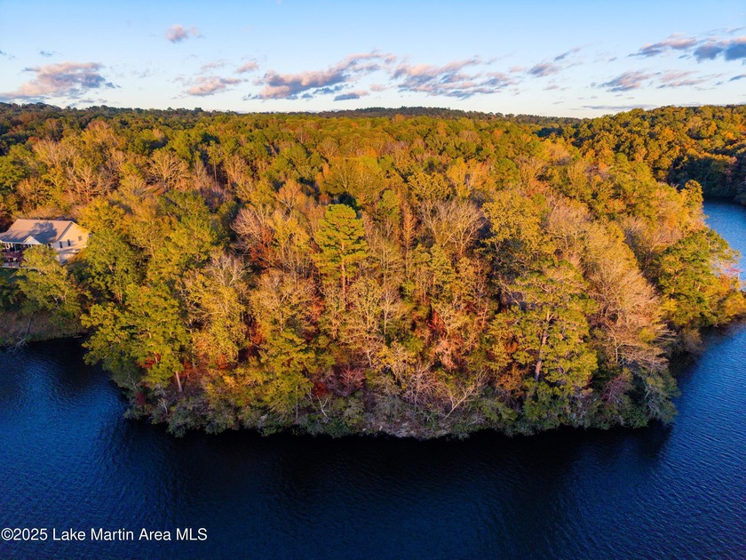 Welcome to Yates Lake! With 21 +/- acres and 2,000 +/- of - photo 10