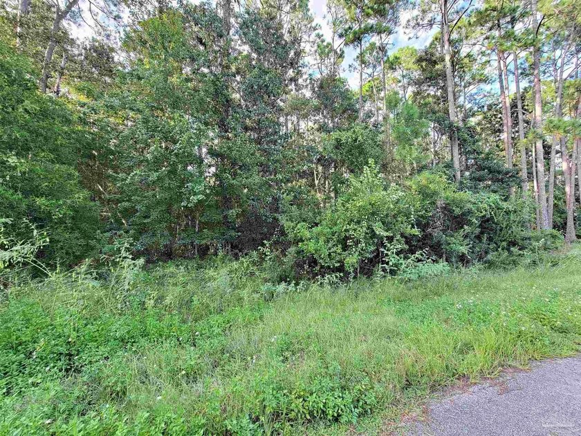 Take a drive into the quiet neighborhood of Ramsey Beach on - photo 4