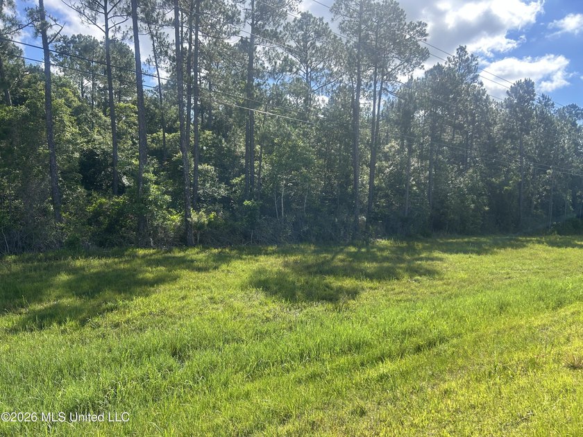Located near D'Iberville High School on Hwy 67 also with - photo 3