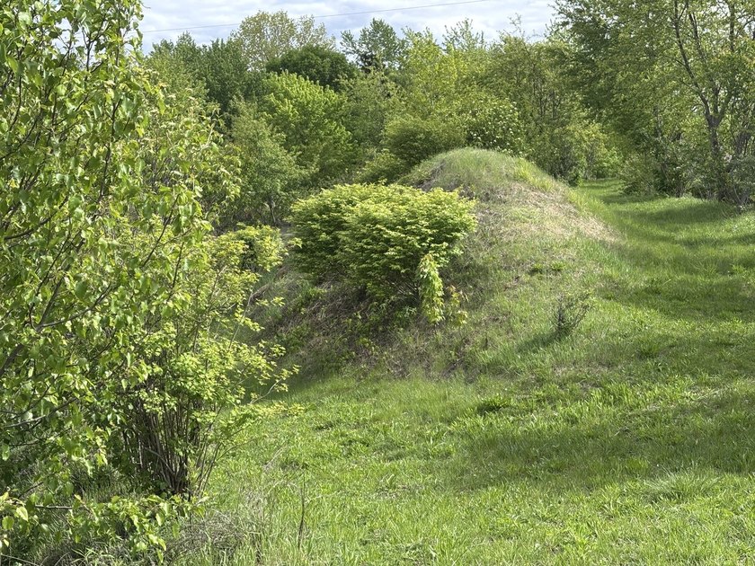 1578 County Rd 2350 E # Y - photo 50