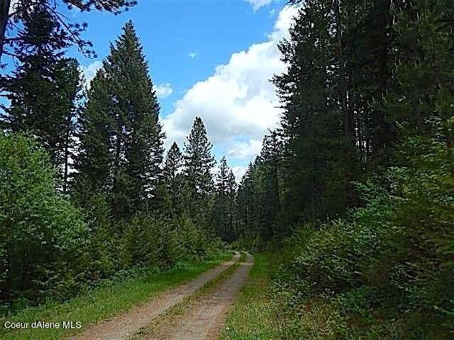 Take a look at this 300 + acres in beautiful North Idaho! Easy - photo 4