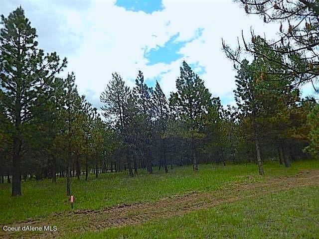 Take a look at this 300 + acres in beautiful North Idaho! Easy - photo 5