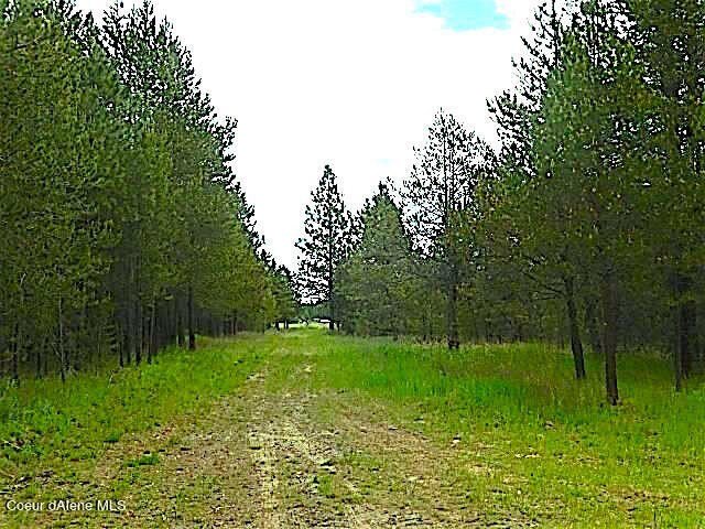 Take a look at this 300 + acres in beautiful North Idaho! Easy - photo 6