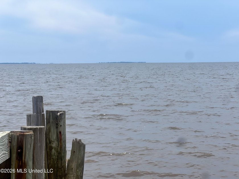 Rare opportunity to own two lots on scenic Belle Fontaine Drive - photo 13