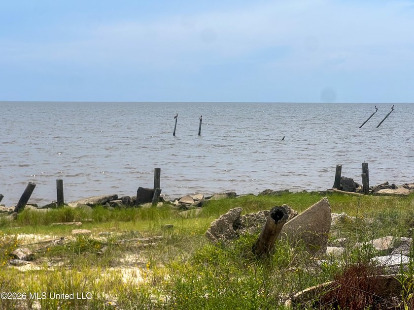 Rare opportunity to own two lots on scenic Belle Fontaine Drive - photo 14