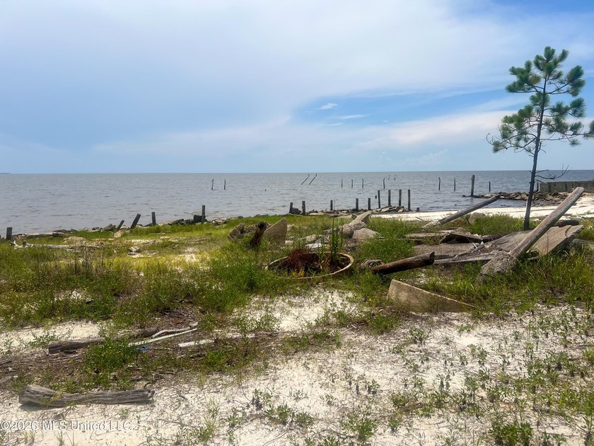 Rare opportunity to own two lots on scenic Belle Fontaine Drive - photo 16