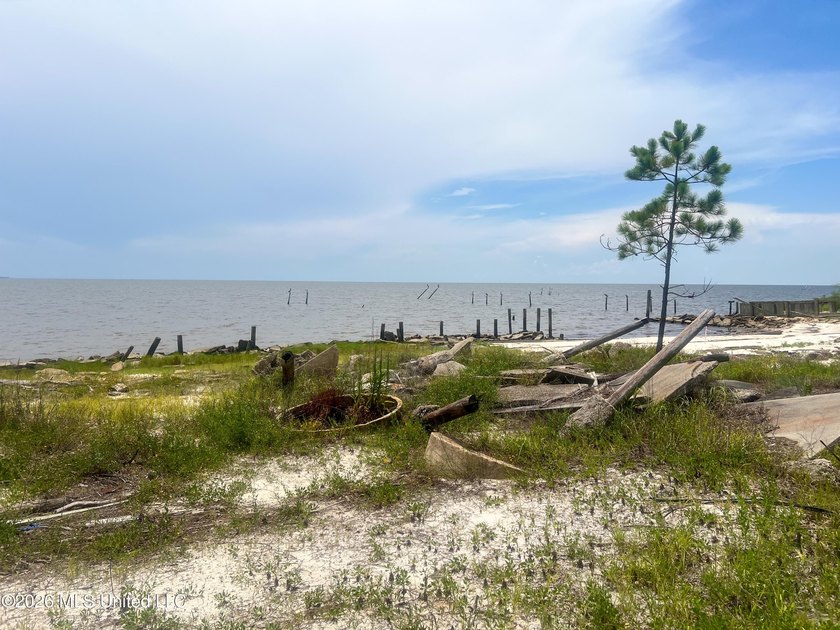 Rare opportunity to own two lots on scenic Belle Fontaine Drive - photo 17