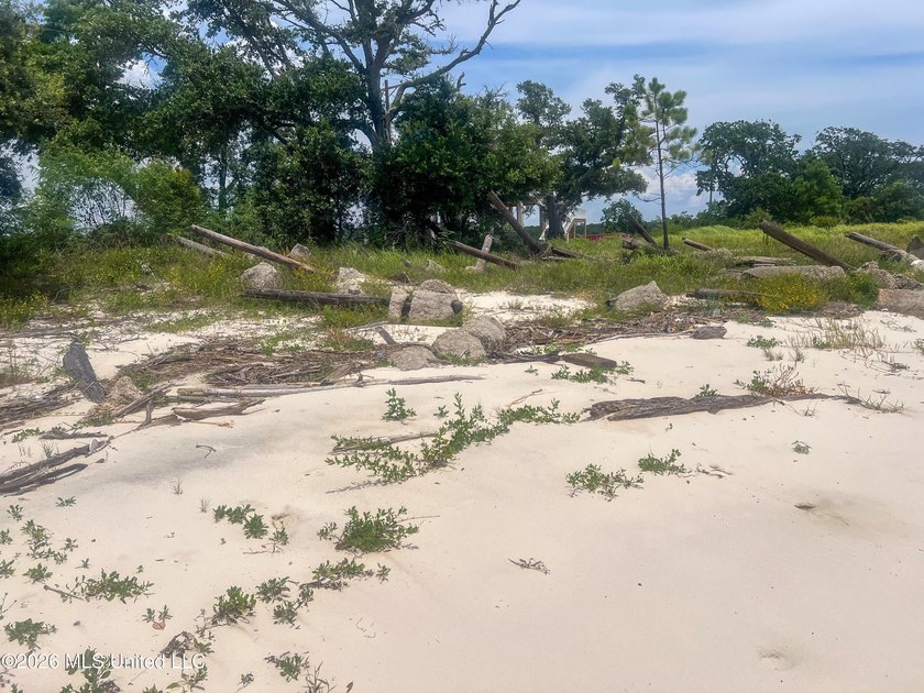 Rare opportunity to own two lots on scenic Belle Fontaine Drive - photo 21