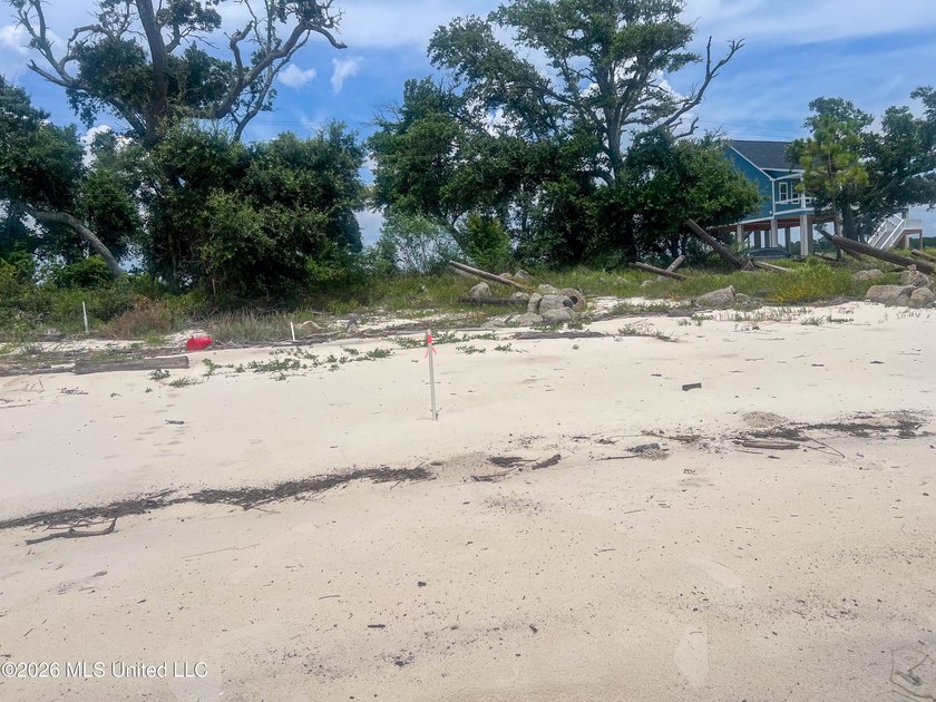 Rare opportunity to own two lots on scenic Belle Fontaine Drive - photo 22