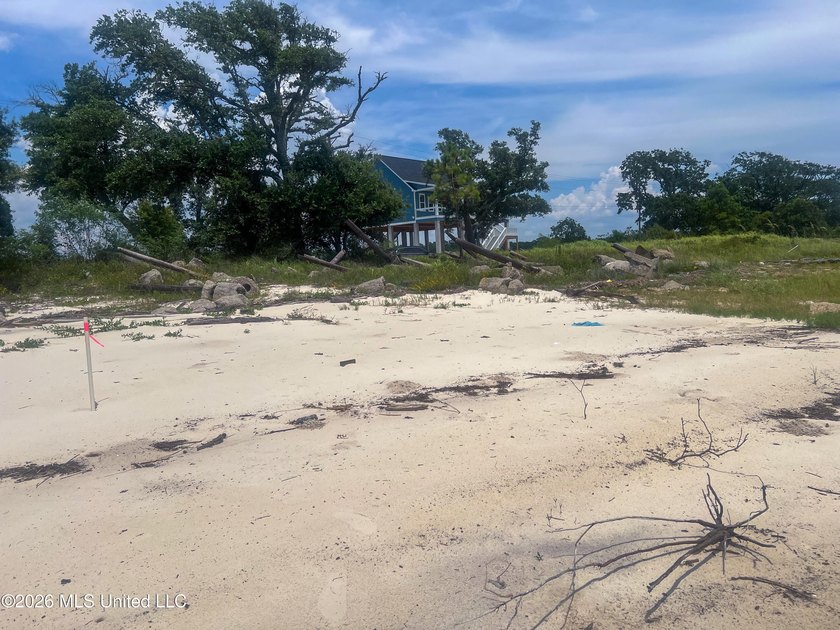 Rare opportunity to own two lots on scenic Belle Fontaine Drive - photo 23