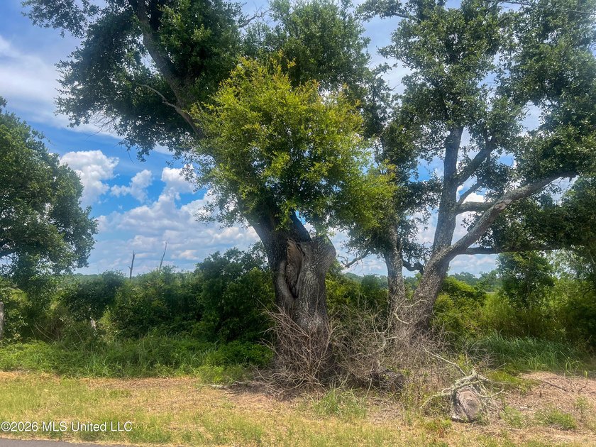 Rare opportunity to own two lots on scenic Belle Fontaine Drive - photo 26