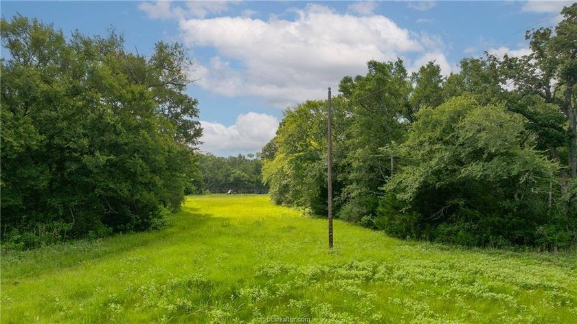 If country living is calling your name, take a look at this 101 - photo 25