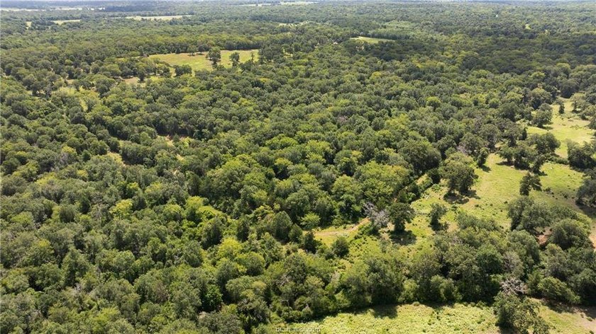 If country living is calling your name, take a look at this 101 - photo 26
