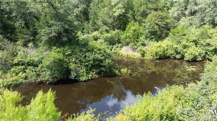 If country living is calling your name, take a look at this 101 - photo 27