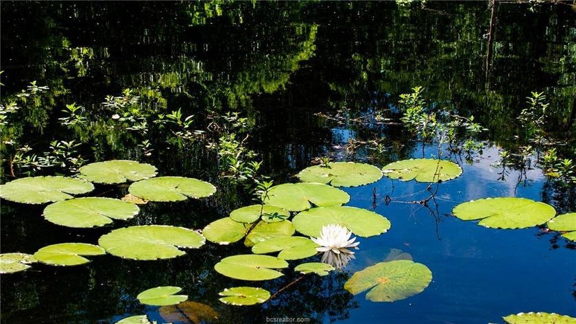 If country living is calling your name, take a look at this 101 - photo 28