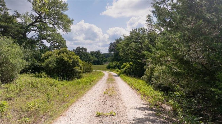 If country living is calling your name, take a look at this 101 - photo 29