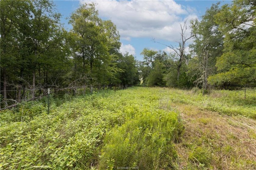 If country living is calling your name, take a look at this 101 - photo 36