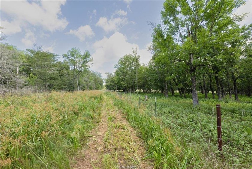 If country living is calling your name, take a look at this 101 - photo 37