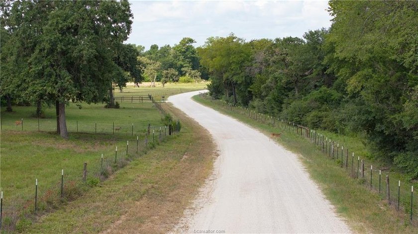 If country living is calling your name, take a look at this 101 - photo 41