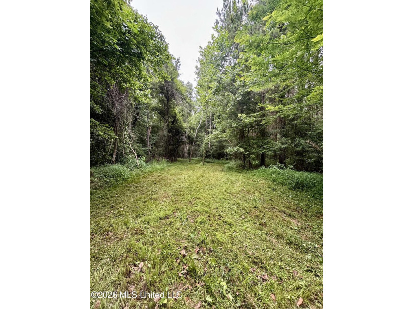 Welcome to your own private recreational retreat on this +/- 24 - photo 2