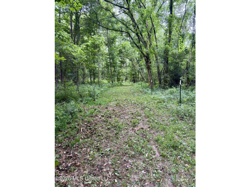 Welcome to your own private recreational retreat on this +/- 24 - photo 3