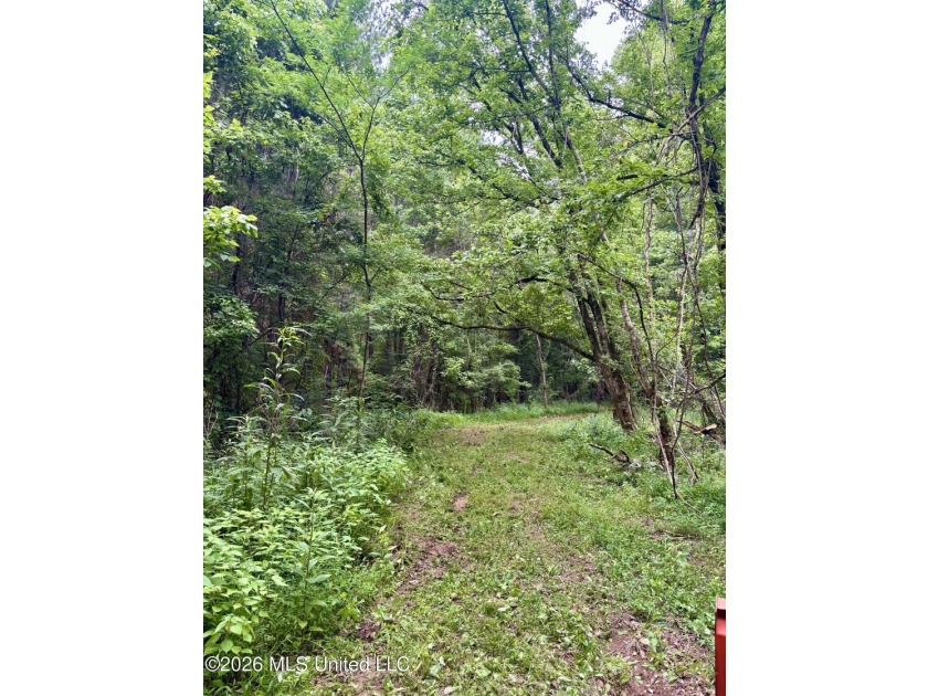 Welcome to your own private recreational retreat on this +/- 24 - photo 5