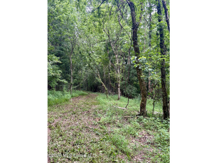 Welcome to your own private recreational retreat on this +/- 24 - photo 7