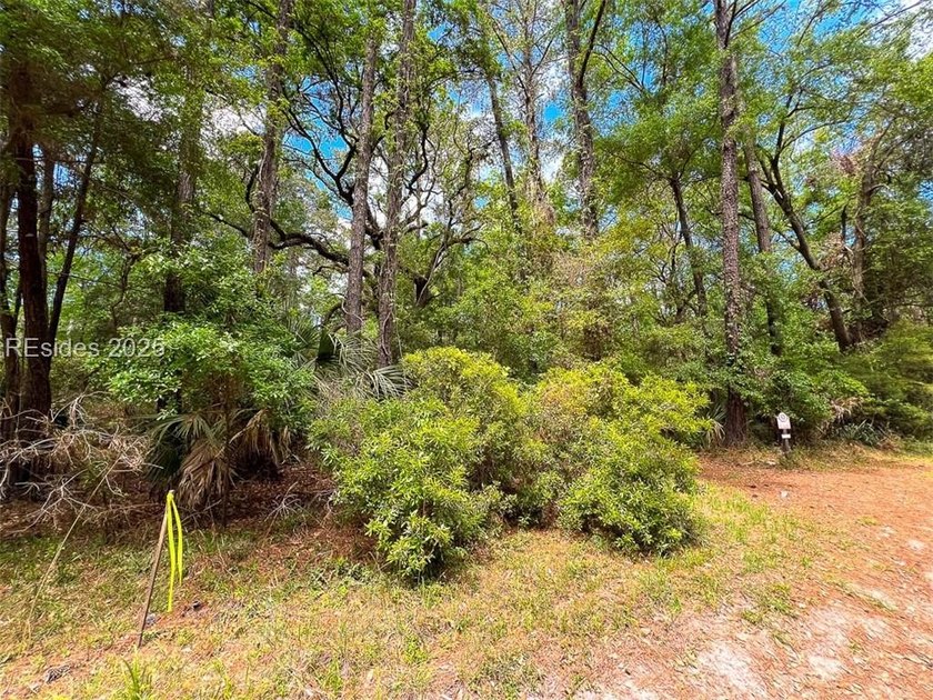 This unique corner lot situated on the desirable north end and - photo 3